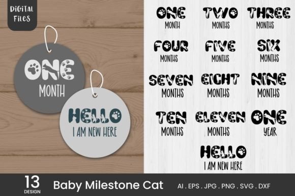 13 Set Baby Milestone Cat SVG Review
