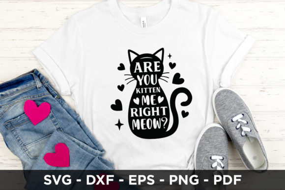 Are You Kitten Me Right Meow Cat SVG Review