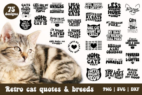 Cat SVG Bundle Cat Quotes
